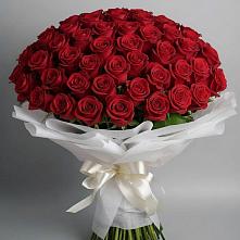 Букет 101 Красная роза Блэк Мэджик в Чаплыгине