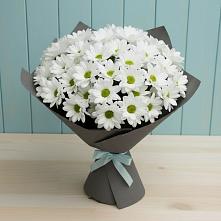 Букет цветов из:  Хризантемы в Чаплыгине