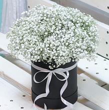 Цветочная композиция из Гипсофила в шляпной коробке #REPLACE_PRED# Чаплыгине
