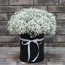 Цветочная композиция из Гипсофила в шляпной коробке #REPLACE_PRED# Чаплыгине