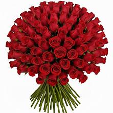 Букет Красные розы Чери Лав в Чаплыгине