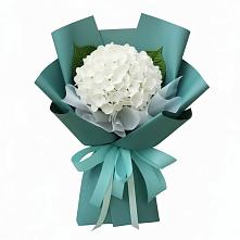 Букет цветов из:  Гортензия в Чаплыгине